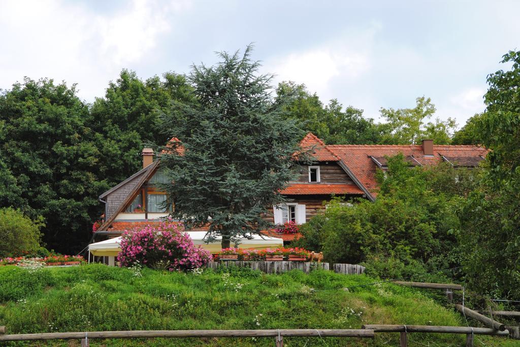Le Neufeld Bed and Breakfast Oberhaslach Buitenkant foto