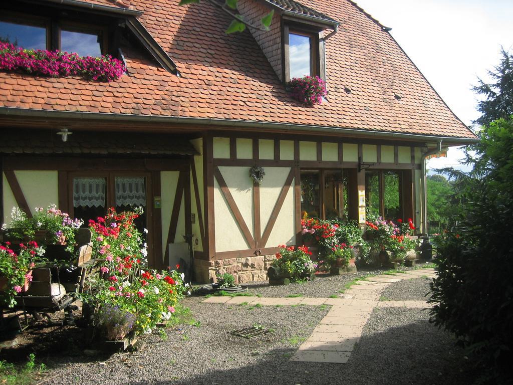 Le Neufeld Bed and Breakfast Oberhaslach Buitenkant foto