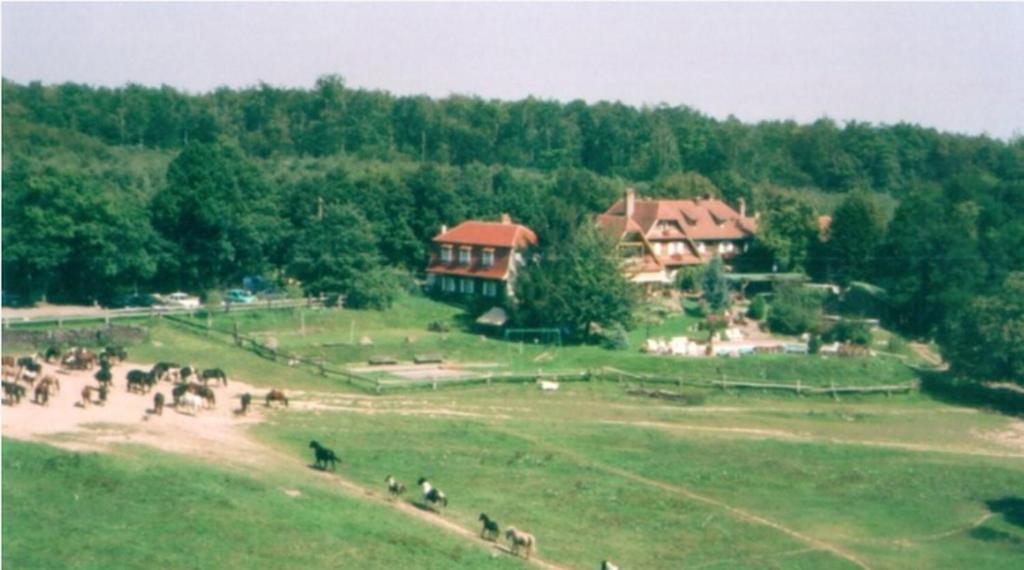 Le Neufeld Bed and Breakfast Oberhaslach Buitenkant foto