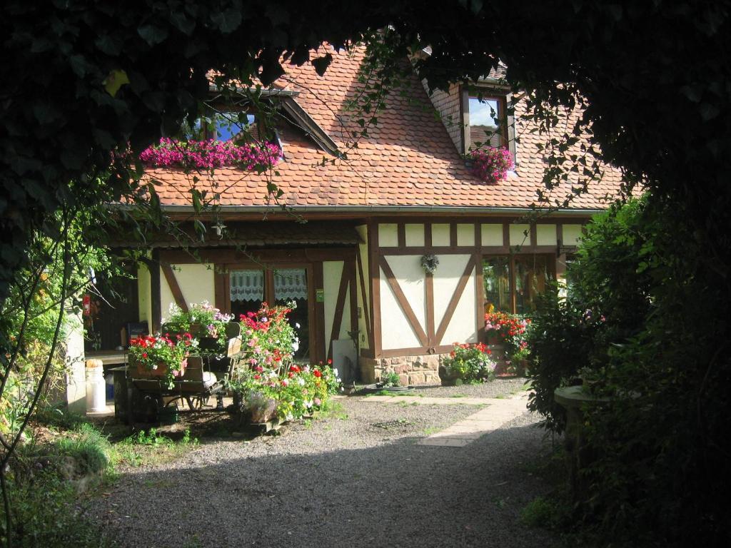 Le Neufeld Bed and Breakfast Oberhaslach Buitenkant foto