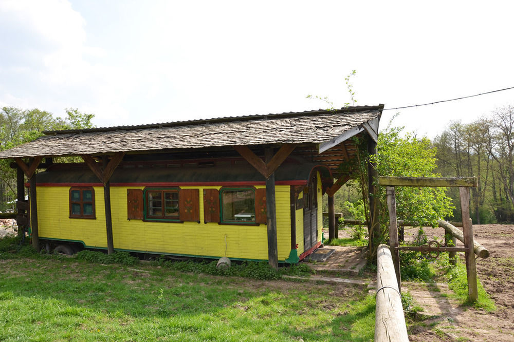 Le Neufeld Bed and Breakfast Oberhaslach Buitenkant foto