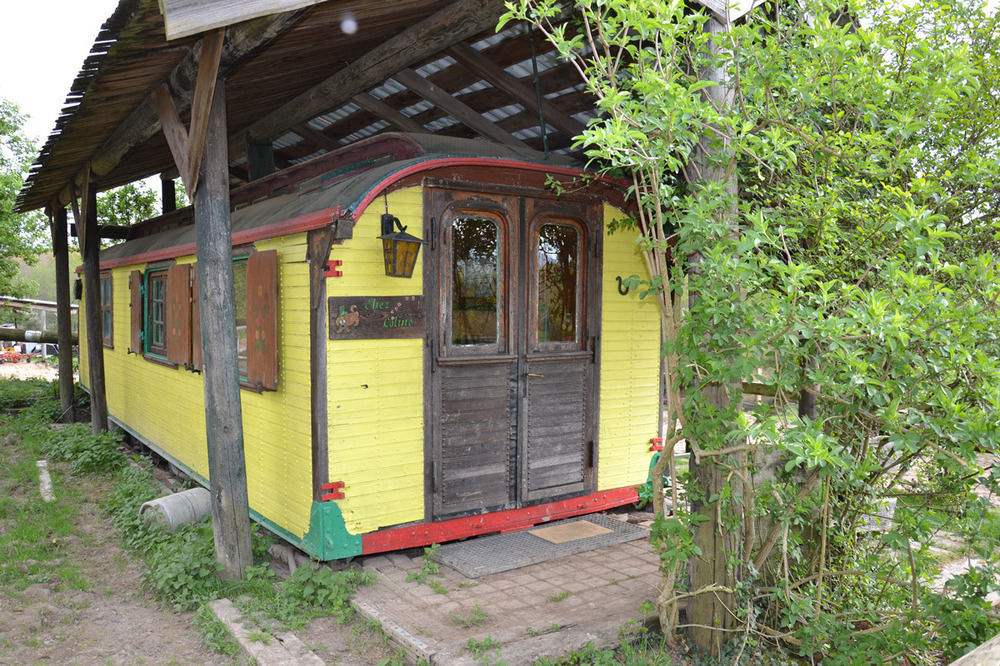 Le Neufeld Bed and Breakfast Oberhaslach Buitenkant foto