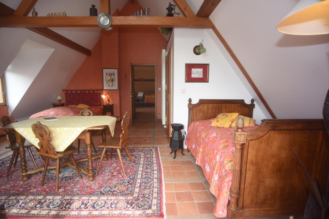 Le Neufeld Bed and Breakfast Oberhaslach Buitenkant foto